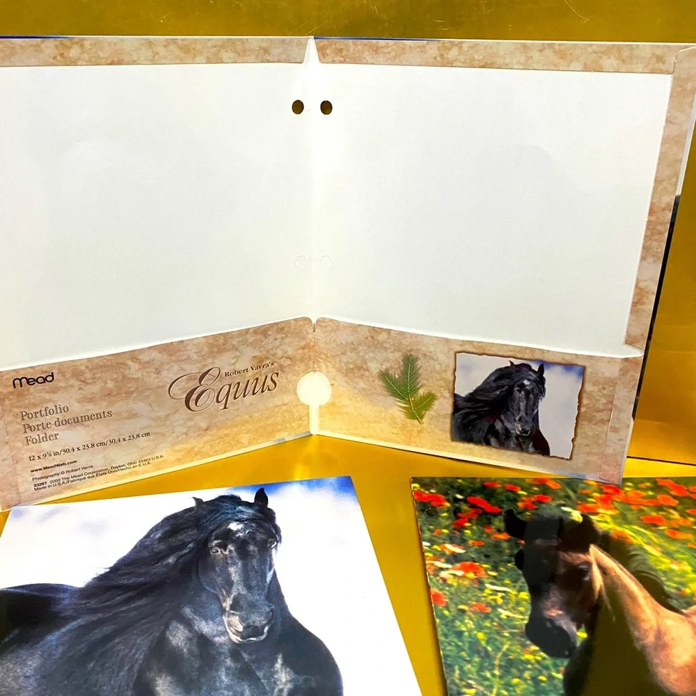 HORSE VINTAGE 2000 MEAD PORTFOLIO 3 RING BINDER FOLDERS EQUUS BUNDLE OF 3